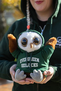 Plush Owl w/Evergreen Hoodie