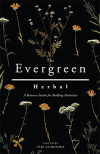 The Evergreen Herbal:A Resource Guide For Budding Herbalists