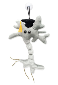 Giant Microbes Graduation Brain Cell Plush