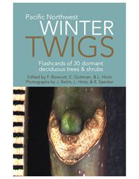 Pacific Northwest Winter Twig Cards