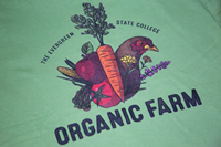 T-shirt Organic Farm Chicken