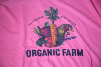 T-shirt Organic Farm Chicken